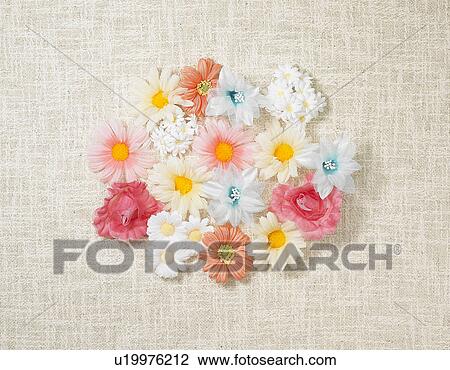 Stock Image - Flower heads. Fotosearch