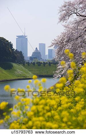 Stock Image - Flowers and the Diet Building. Fotosearch