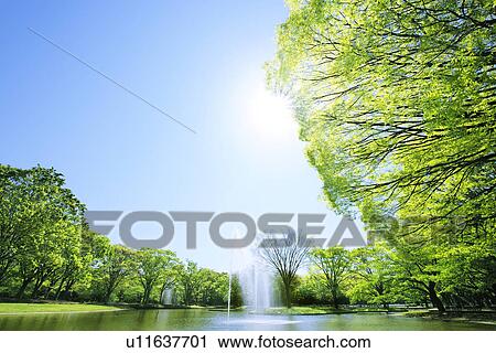 Stock Image - Fountain at Yoyogi Park. Fotosearch