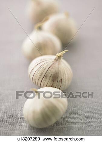 Stock Photo - Garlic. Fotosearch