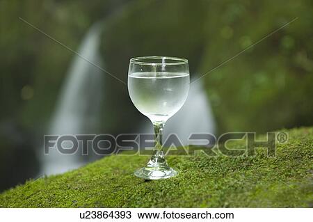 Stock Image - Glass of Water on Green Moss. Fotosearch