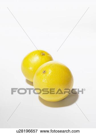 Stock Photo - Grapefruits, white background. Fotosearch