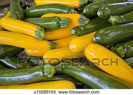 Stock Photography - Green and yellow zucchini, close up, full frame. Fotosearch