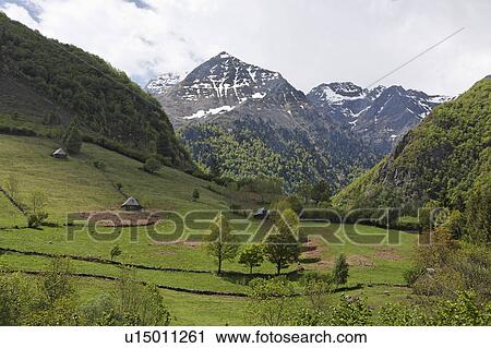 Green Field in Mountains, Midi Pyrenees, France View Large Photo Image Stock Image - Green Field in Mountains, Midi Pyrenees, France. Fotosearch