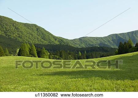 Stock Image - Green Field, Mountains in the Background. Fotosearch