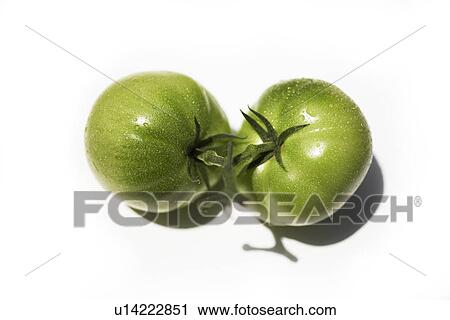 Stock Image - Green tomatoes, white background. Fotosearch