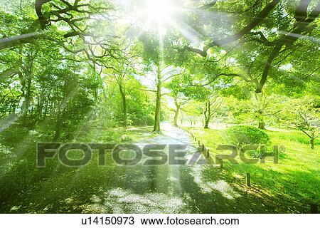 Hamarikyu garden View Large Photo Image Stock Image - Hamarikyu garden. Fotosearch