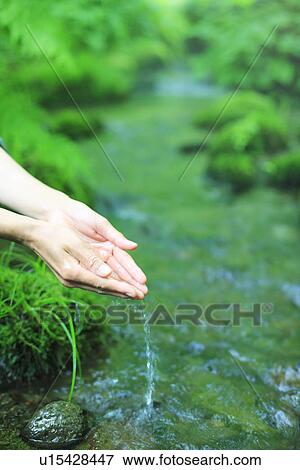 Hands scooping up water from stream View Large Photo Image Stock Photo - Hands scooping up water from stream. Fotosearch