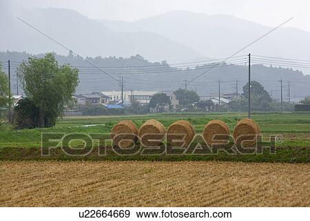 Hay bales View Large Photo Image Stock Photo - Hay bales. Fotosearch