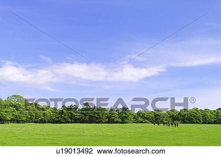 Stock Image - Horses grazing. Fotosearch
