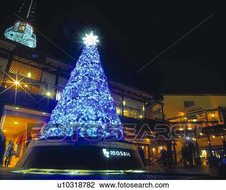 Stock Image - Illuminated Christmas Tree. Fotosearch