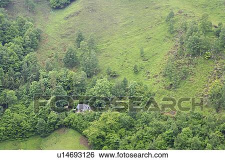 Stock Photograph - Isolated House in Green Field, Midi Pyrenees, France. Fotosearch