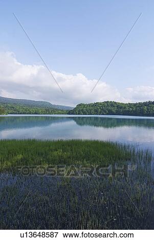 Lake Onneto View Large Photo Image Stock Photo - Lake Onneto. Fotosearch