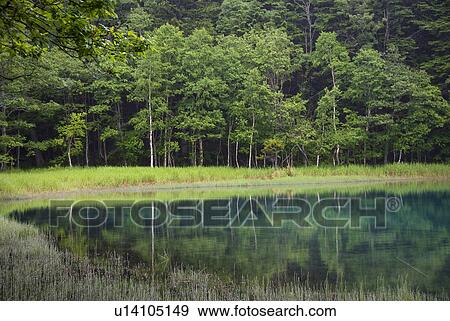 Lake Onneto View Large Photo Image Stock Photo - Lake Onneto. Fotosearch