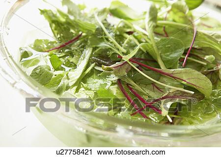 Stock Image - Lettuce in bowl of water, close up. Fotosearch