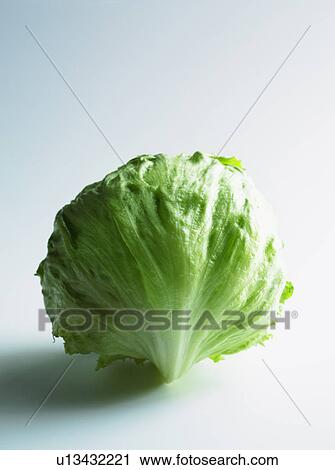 Lettuce on white background View Large Photo Image Stock Image - Lettuce on white background. Fotosearch