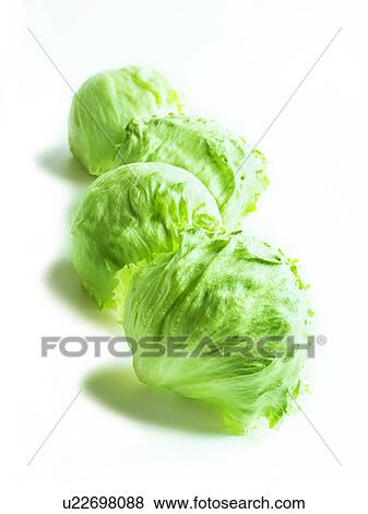 Stock Photo - Lettuces on white background. Fotosearch