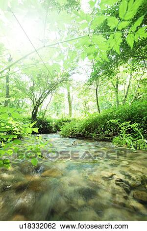 Stock Image - Limpid stream. Fotosearch