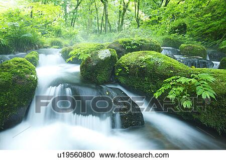 Limpid stream View Large Photo Image Stock Image - Limpid stream. Fotosearch