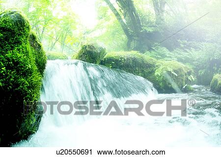 Stock Image - Limpid stream. Fotosearch