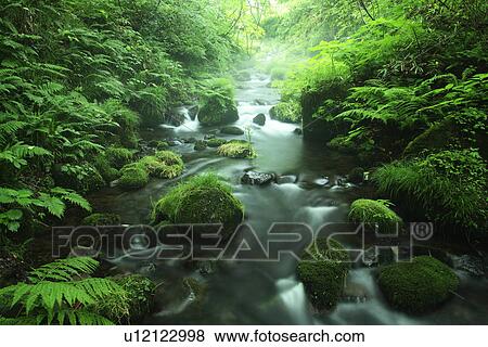 Limpid stream View Large Photo Image Stock Photo - Limpid stream. Fotosearch