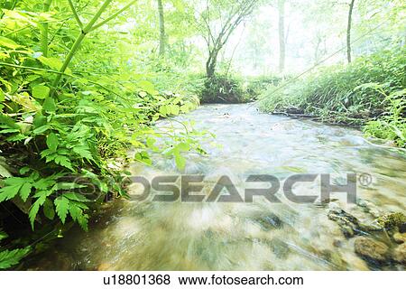 Stock Photo - Limpid stream. Fotosearch