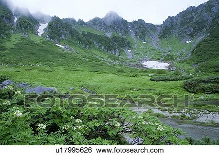 Stock Photograph - Lingering Snow. Fotosearch