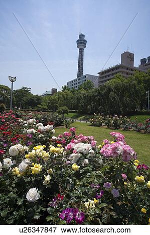 Stock Photo - Marine tower. Fotosearch