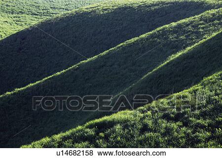 Stock Photo - Meadow at Aso City. Fotosearch