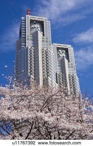 Stock Image - Metropolitan Government Building and cherry blossoms. Fotosearch