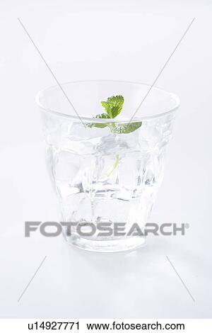 Stock Image - Mint in glass of water. Fotosearch