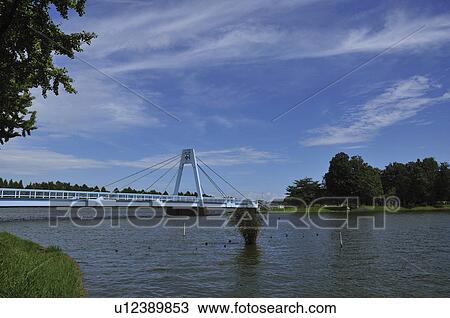 Stock Image - Mizumoto park in summer. Fotosearch