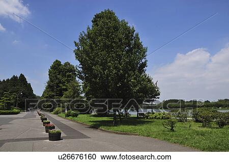 Stock Image - Mizumoto park in summer. Fotosearch