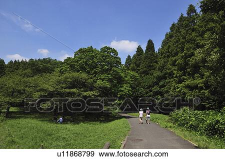 Mizumoto park in summer View Large Photo Image Stock Photo - Mizumoto park in summer. Fotosearch