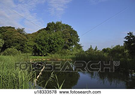 Stock Photo - Mizumoto park in summer. Fotosearch