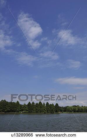 Mizumoto park in summer View Large Photo Image Stock Photograph - Mizumoto park in summer. Fotosearch
