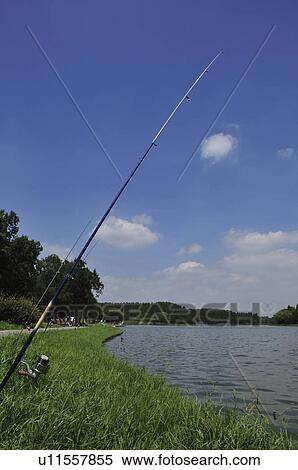 Stock Photography - Mizumoto park in summer. Fotosearch