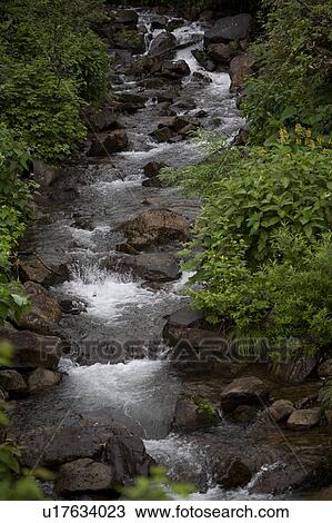 Mountain stream View Large Photo Image Stock Image - Mountain stream. Fotosearch