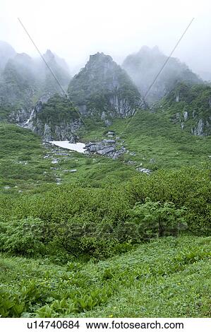 Picture - Mountains and field in rain. Fotosearch