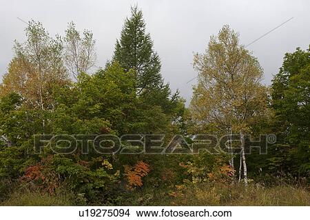 Picture - Norikura highland. Fotosearch