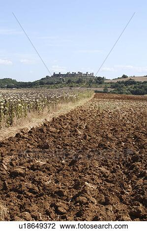 Stock Image - Open Field, Townscape in the Background, Monteriggioni, Italy. Fotosearch
