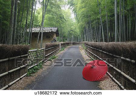 Stock Image - Paper Umbrella in a Bamboo Grove. Fotosearch