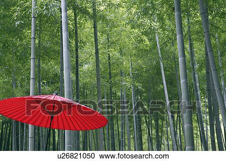 Stock Image - Paper Umbrella in a Bamboo Grove. Fotosearch