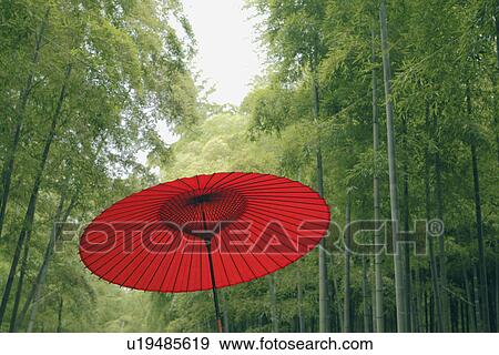 Stock Photo - Paper Umbrella in a Bamboo Grove. Fotosearch