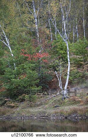 Stock Photograph - Pond in Norikura highland. Fotosearch