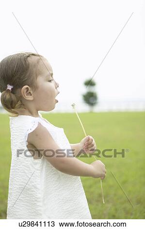 Stock Image - Profile of a girl blowing dandelion seeds. Fotosearch