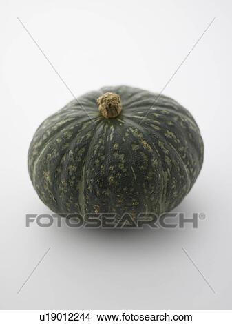 Picture - Pumpkin on white background. Fotosearch