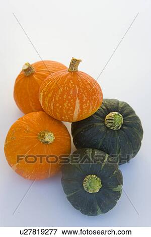 Pumpkins, close up, white background View Large Photo Image Stock Photo - Pumpkins, close up, white background. Fotosearch