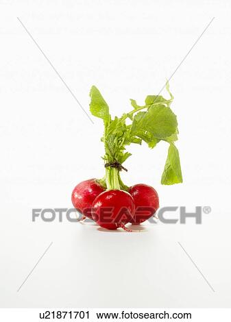 Radishes View Large Photo Image Stock Image - Radishes. Fotosearch