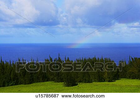 Stock Photo - Rainbow in Sea, Viewed From Land, Hawaii, USA. Fotosearch